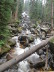 Calypso Cascades